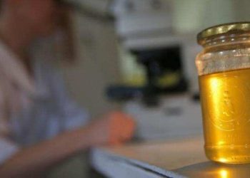 Türkiye'den AB'ye ihraç edilen ballar hileli çıktı: 15 örnekten 14'ü testi geçemedi