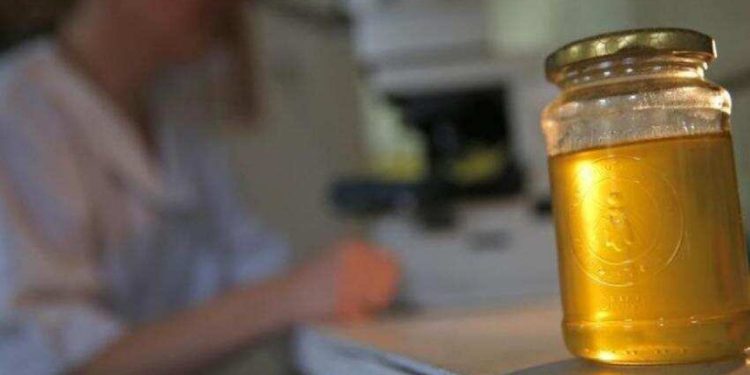 Türkiye'den AB'ye ihraç edilen ballar hileli çıktı: 15 örnekten 14'ü testi geçemedi