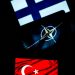 Türkiye’nin Finlandiya adımı Batı’da memnuniyet yarattı