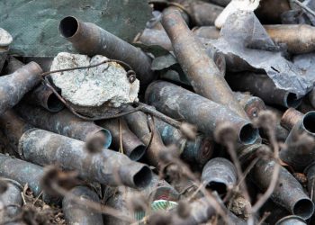 Ukrayna savaşı doğayı tahrip ediyor