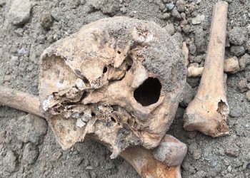 Van'da inşaat kazısında insan kemikleri çıktı