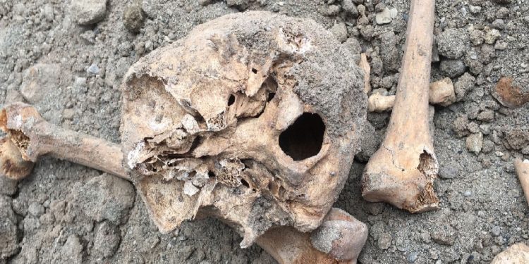 Van'da inşaat kazısında insan kemikleri çıktı