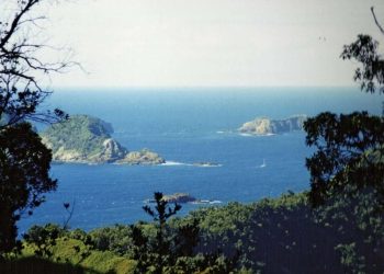 Yeni Zelanda'da 6,9 büyüklüğünde deprem