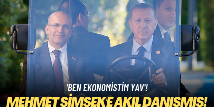 ‘Ben ekonomistim yav’: Mehmet Şimşek’e akıl danışmış!