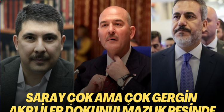 ‘Saray çok ama çok gergin ve AKP’de herkes dokunulmazlık peşinde’