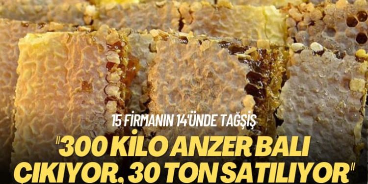 15 firmanın 14’ünde tağşiş: 300 kilo Anzer balı çıkıyor 30 ton satılıyor