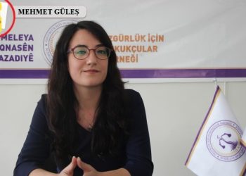 ÖHD Eş Genel Başkanı Yeter: Tecride karşı talep meşrudur, mücadele sürecek
