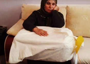 Oğlunun cenazesi kutu içinde teslim edilen Halise Aksoy da gözaltında