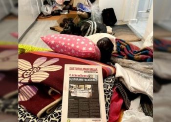 18 uluslararası kurumdan gözaltılar için çağrı