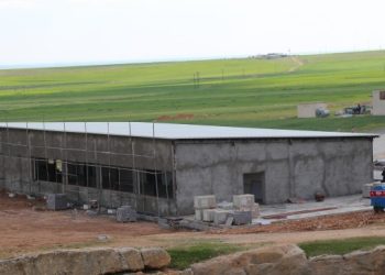 Dara’da çalışan arkeolog: Mezar bulunmasına rağmen inşaat devam etti