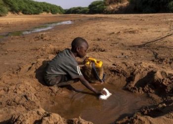 DSÖ: Afrikalıların yüzde 48’i sağlık hizmetine erişemiyor