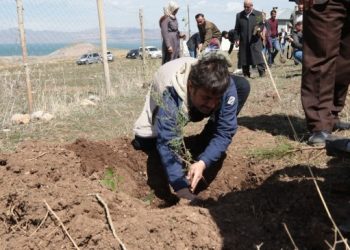 Depremde yaşamını yitirenlerin anısına fidan dikildi