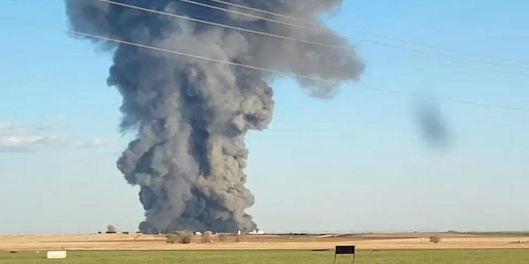 ABD'de mandıra patladı,18 bin inek öldü
