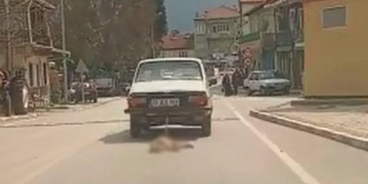 Ahmet Daşçı isimli kişi, bir köpeği otomobiline bağlayarak katletti