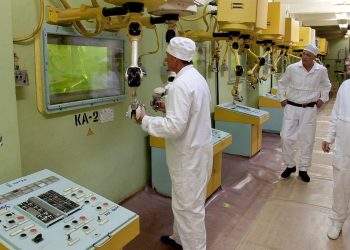 Almanya Rus nükleer sektörüne yaptırım istedi