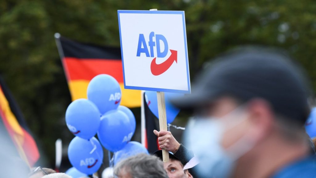 Almanya'da AfD'nin gençlik örgütü artık resmen "aşırı sağcı"