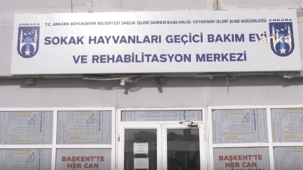 Ankara Büyükşehir Belediyesi 'Gıda Kahramanı' seçildi