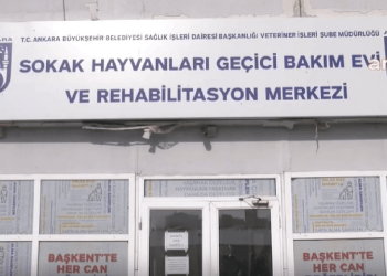 Ankara Büyükşehir Belediyesi 'Gıda Kahramanı' seçildi