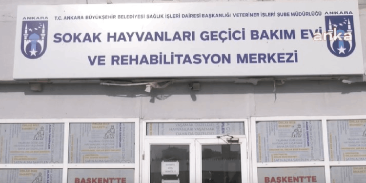Ankara Büyükşehir Belediyesi 'Gıda Kahramanı' seçildi