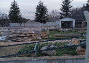 Ankara'daki hayvanat bahçesi yıkıldı: Aslanların kükremesi mahallelinin psikolojisini bozuyor