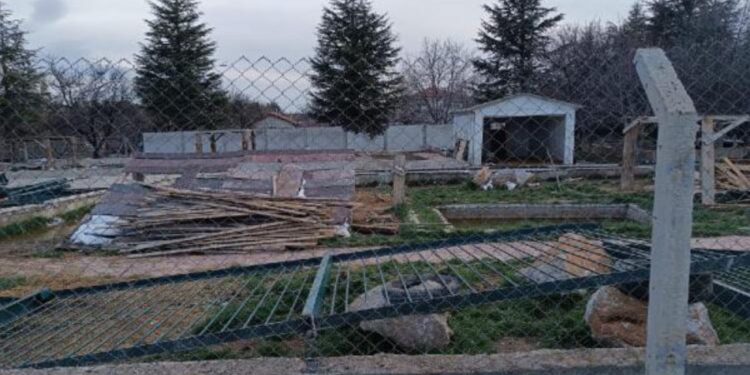 Ankara'daki hayvanat bahçesi yıkıldı: Aslanların kükremesi mahallelinin psikolojisini bozuyor