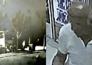 Antalya'da servis şoförü köpeğe cinsel saldırı iddiasıyla gözaltına alındı