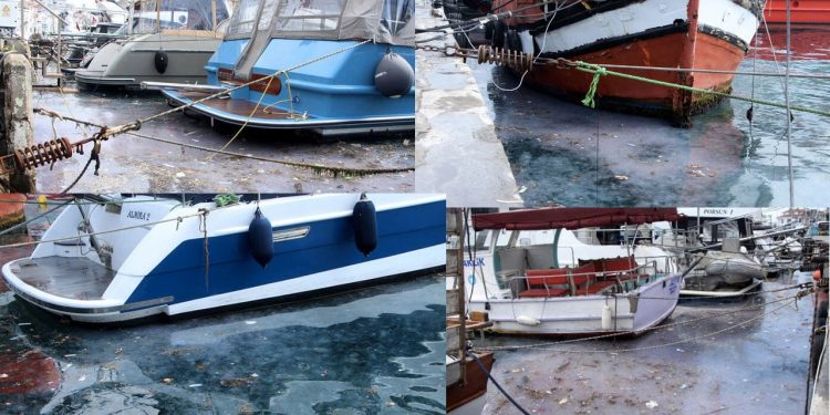 Arnavutköy sahilinde kirlilik