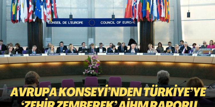 Avrupa Konseyi’nden Türkiye’ye ‘zehir zemberek’ AİHM raporu
