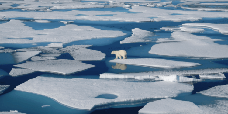BM'den kritik uyarı: Deniz seviyesi rekor hızla yükseliyor