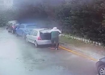 Bağcılar’da sitedeki kedileri poşetle götüren kişi hakkında suç duyurusu
