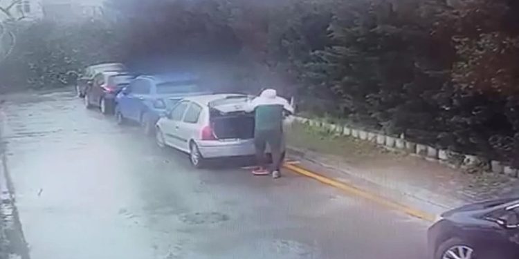 Bağcılar’da sitedeki kedileri poşetle götüren kişi hakkında suç duyurusu