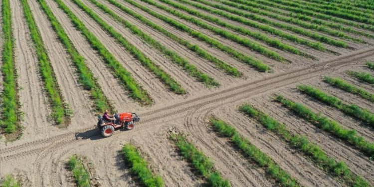 Bakan Kirişci: Tarımda yeni bir dönem başladı