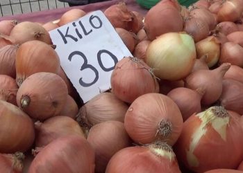 Bakanlıktan 'soğan' açıklaması: Halkımızın ihtiyacını fazlasıyla karşılayacak seviyededir