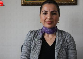 Bedlîs adayı Gökalp: Sandıkları aydınlatacağız, çalamayacaklar