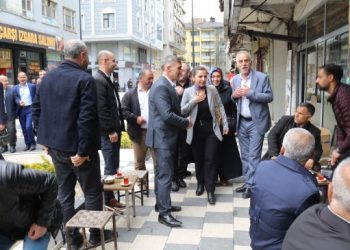 Bedlîsliler: Seçimde çok iyi bir sonuç alacağız