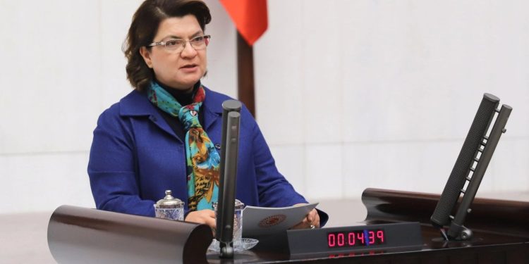 CHP'li Suzan Şahin: 72 konteyner kentin 62'sini bağışçılar yaptı