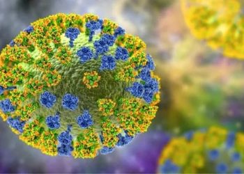 Çin'den DSÖ'ye kuş gribi bildirimi: Bir kişi öldü