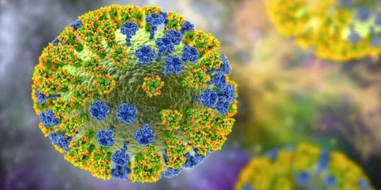 Çin'den DSÖ'ye kuş gribi bildirimi: Bir kişi öldü