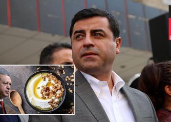Demirtaş 'manda yoğurdu' karışımını hatırlattı: Erdoğan halkın halinden anlayamaz çünkü dünyanın en zenginlerinden