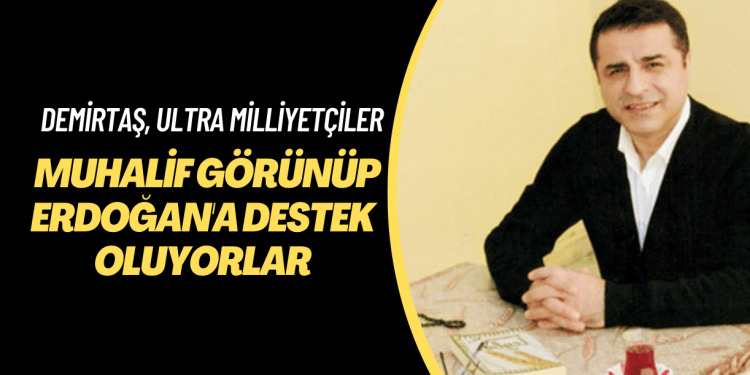 Demirtaş’tan ultra milliyetçi açıklaması: Muhalif görünerek Erdoğan’a destek oluyorlar