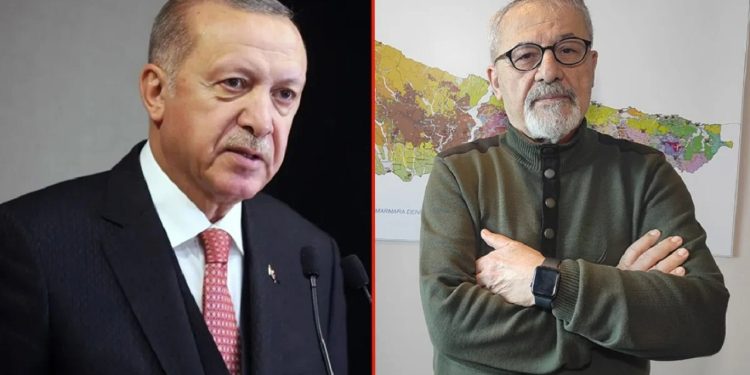 Erdoğan, "müjde" diye duyurdu; Naci Görür uyardı: İstanbul’da artık imara müsaade etmemek lazım