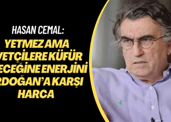 Hasan Cemal: Yetmez ama evetçilere küfür edeceğine enerjini Erdoğan’a karşı harca