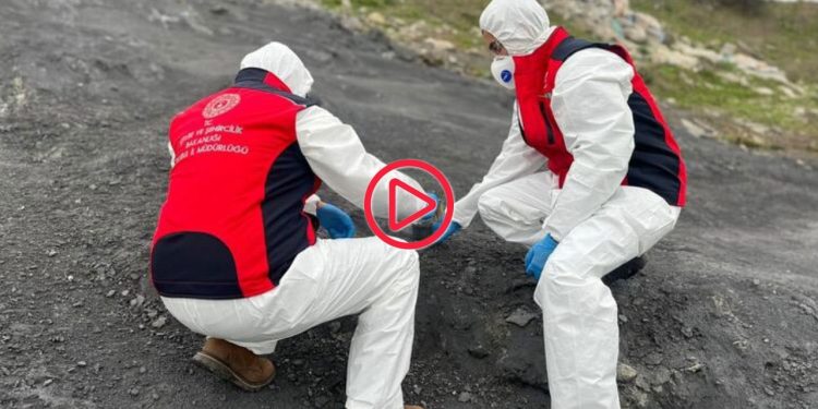 İstanbul’da kimyasal atık baraja karıştı