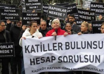 Kadıköy'de hayvan hakları savunucularından eylem: Kediler neden öldürüldü?
