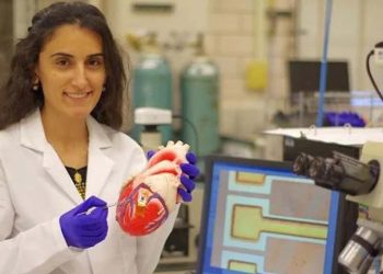 Kemal Kılıçdaroğlu aratın demişti: Canan Dağdeviren kimdir?