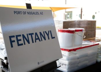 Kokain ve fentanil kaçakçılığı: Türkiye nasıl uyuşturucu kaçakçılığının merkezine oturdu?