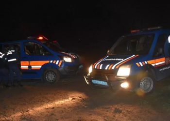 'Köpeğim öldür dedi, eşeğimin ipiyle boğdum'