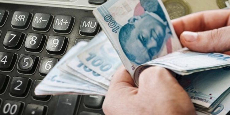 Köyüne dönüp hayvancılık yapmak isteyenlere destek ödemesi!