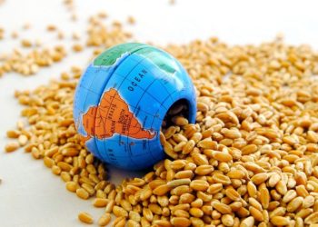 Kremlin: Rusya ve Türkiye, tahıl anlaşmasıyla ilgili çalışmalara devam edecek