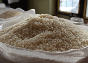 2023 yılında küresel pirinç piyasasının son 20 yılın en büyük arz açığı ile karşı karşıya olduğu raporlaştırıldı.